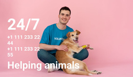 24/7 Help To Animals - Responsive Design