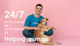 Most Creative Website Mockup For 24/7 Help To Animals