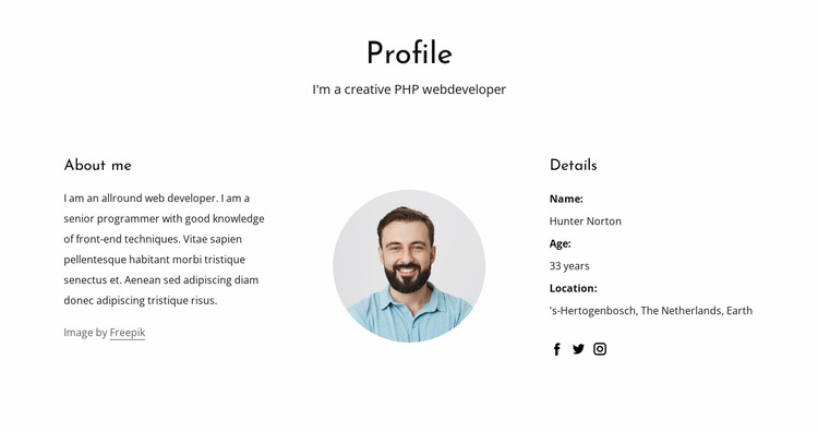 Web developer job profile Website Mockup