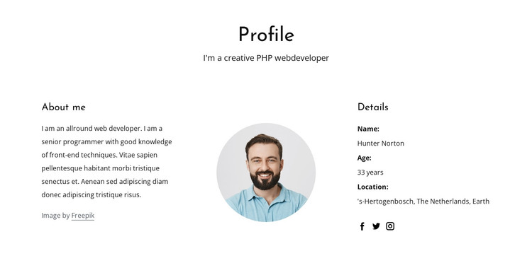 Web developer job profile WordPress Theme