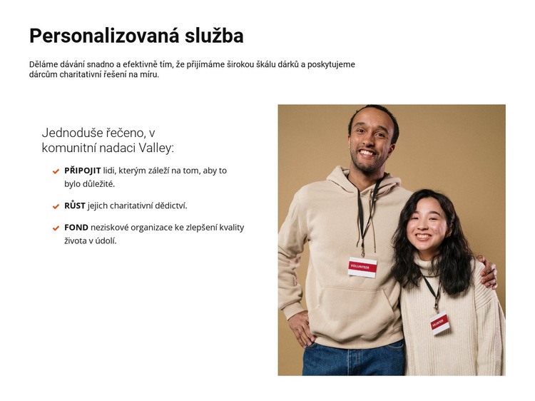 Organizace potřebné pomoci Šablona CSS