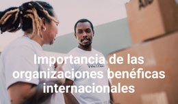 Creador De Sitios Web Premium Para Importancia De Las Organizaciones Benéficas Internacionales