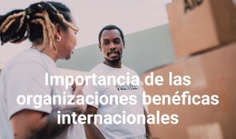 Importancia De Las Organizaciones Benéficas Internacionales Sitio Web Html
