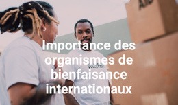 Créateur De Site Web Premium Pour Importance Des Organismes De Bienfaisance Internationaux