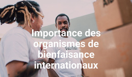 Thème WordPress Premium Pour Importance Des Organismes De Bienfaisance Internationaux