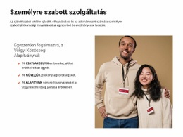 A Szükséges Segítség Megszervezése - Professzionális Webhelysablon