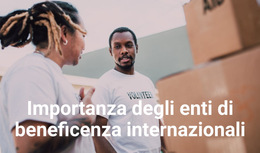 Importanza Degli Enti Di Beneficenza Internazionali - Pagina Di Destinazione