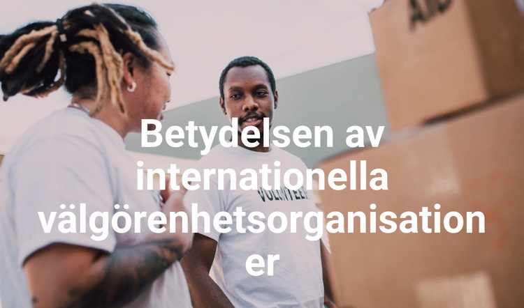 Betydelsen av internationella välgörenhetsorganisationer Hemsidedesign