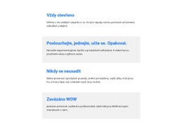 Charitativní Služby – Šablona Prémiového Webu Pro Firmy