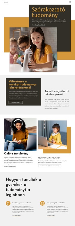 Klassz Tudományos Projekt Weboldal -Készítők