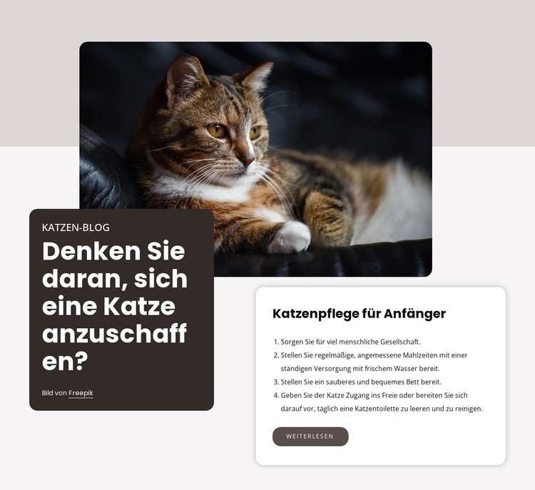 Checkliste für die Anschaffung einer neuen Katze HTML-Vorlage