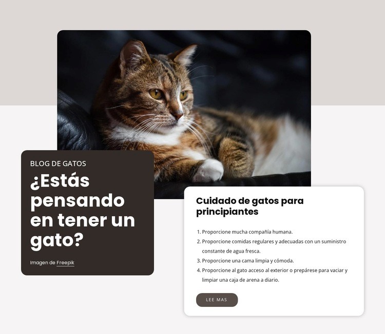 Lista de control para tener un gato nuevo Maqueta de sitio web