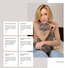 Guía Para Conseguir Un Nuevo Gato - Mejor Plantilla HTML5
