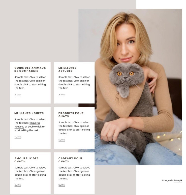 Guide pour obtenir un nouveau chat Conception de site Web