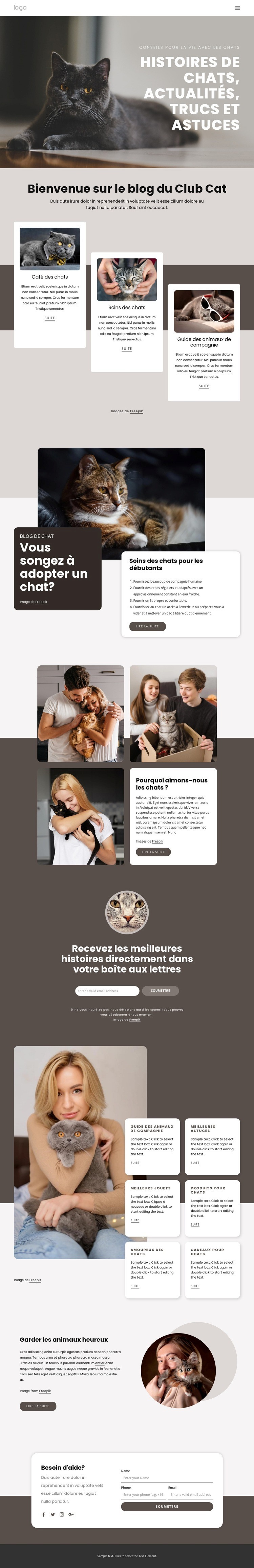 Histoires de chats, trucs et astuces Maquette de site Web