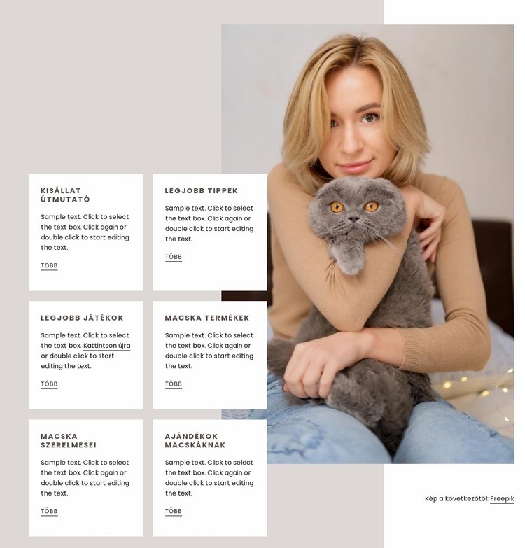 Útmutató új macska beszerzéséhez Weboldal sablon