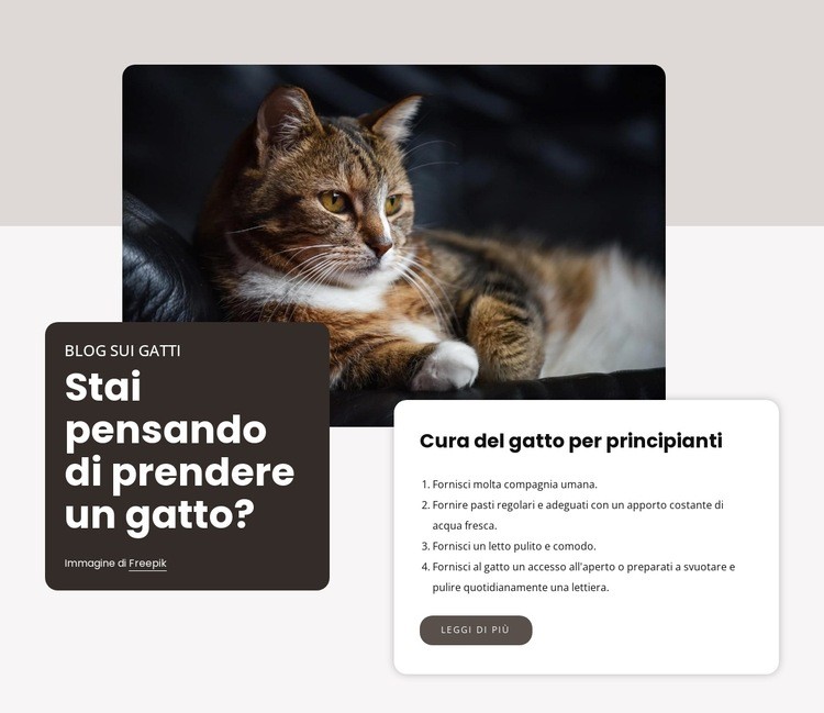 Lista di controllo per ottenere un nuovo gatto Costruttore di siti web HTML