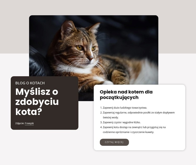 Lista kontrolna dla nowego kota Szablon HTML5