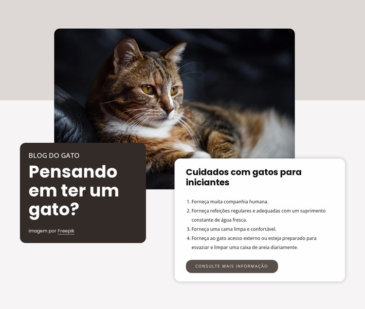 Lista de verificação para obter um novo gato Construtor de sites HTML