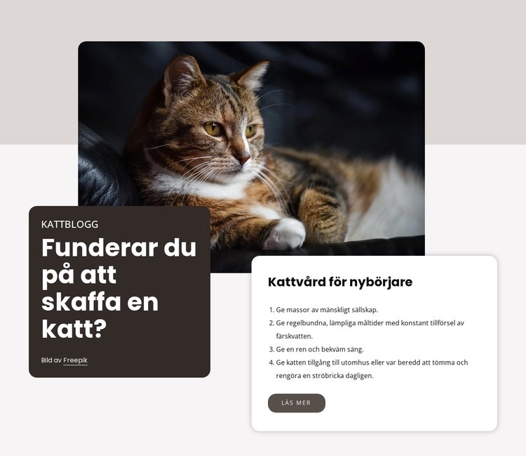 Checklista för att skaffa en ny katt CSS -mall