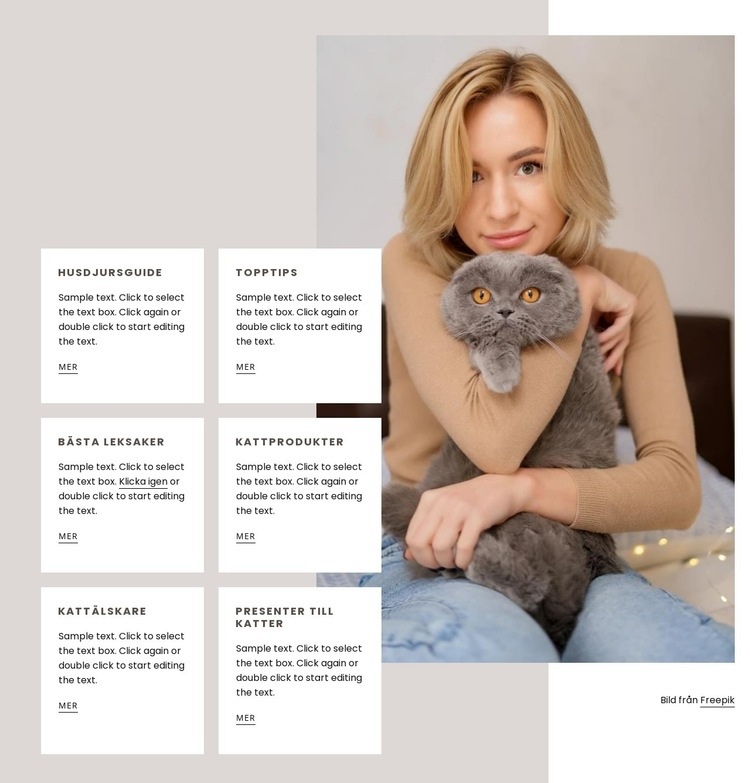 Guide för att skaffa en ny katt Webbplats mall