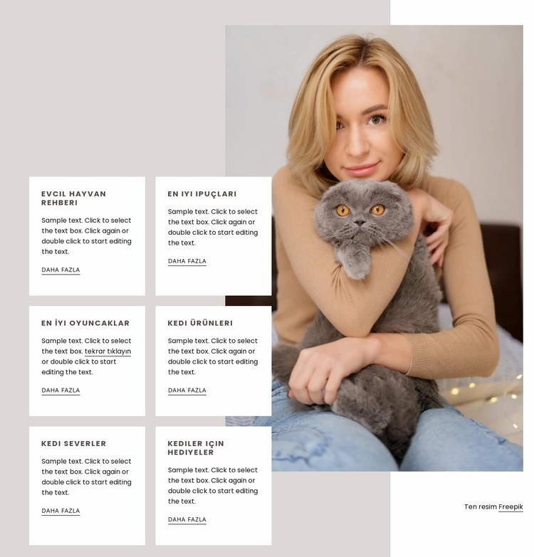 Yeni bir kedi edinme rehberi Web sitesi tasarımı