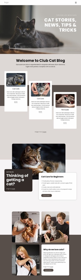 Cat Stories, Tips And Tricks - Mobile Website Template