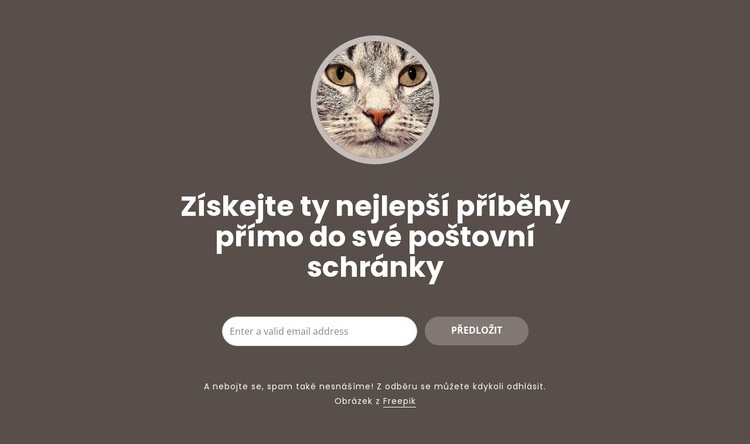 Největší příběhy Šablona HTML