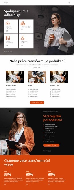 Spolupracujte S Odborníky – Nejlepší Šablona Webu