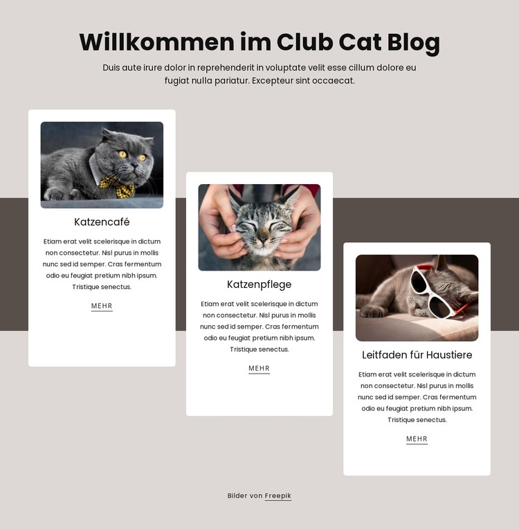 Blogbeiträge über Katzen HTML-Vorlage