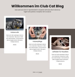 Blogbeiträge Über Katzen Website-Vorlagen