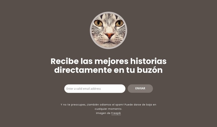 mejores historias Plantillas de creación de sitios web