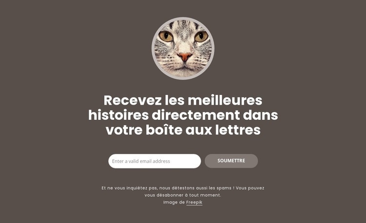 Les meilleures histoires Conception de site Web