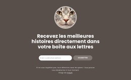 Les Meilleures Histoires - Créateur De Sites Web