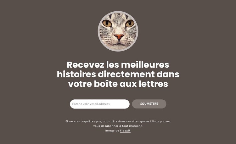 Les meilleures histoires Modèle HTML