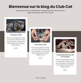 Articles De Blog Sur Les Chats Modèle Réactif Html5