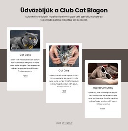 Cat Blogbejegyzések - HTML Oldalsablon