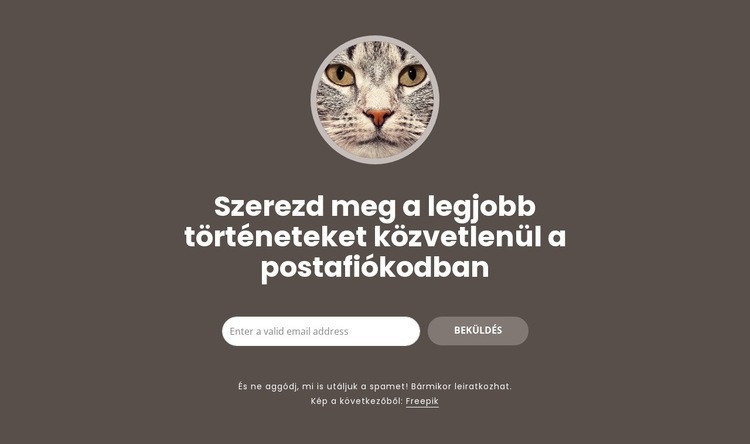 Legnagyobb történetek HTML Sablon