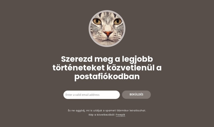 Legnagyobb történetek WordPress Téma