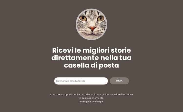 Le più grandi storie Modelli di Website Builder