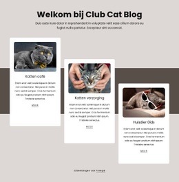 Blogposts Over Katten Website-Ontwerp