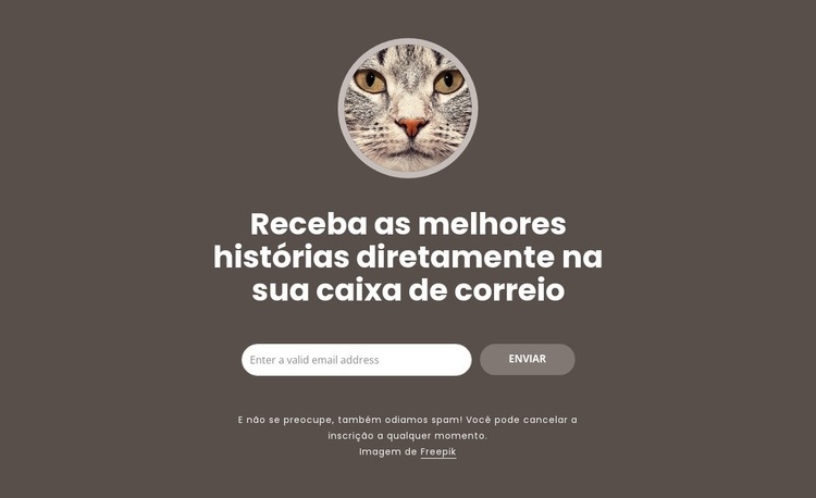 melhores histórias Construtor de sites HTML