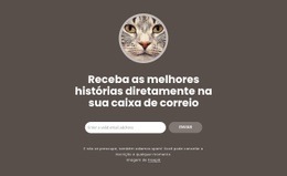 Melhores Histórias - Página De Destino Personalizada