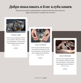 Дизайн Веб-Сайта Для Посты В Кошачьем Блоге