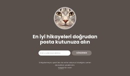 En Büyük Hikayeler Şablonlar Html5 Duyarlı Ücretsiz