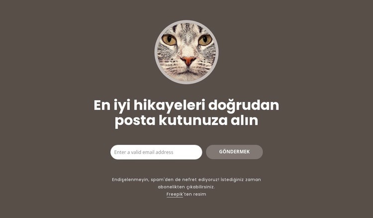 en büyük hikayeler HTML5 Şablonu