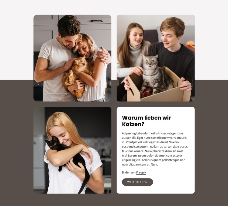 Raster mit 3 Bildern WordPress-Theme