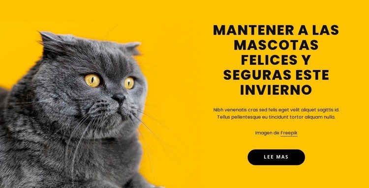 Mantener felices a las mascotas Plantillas de creación de sitios web