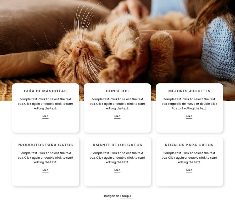 Consejos para dueños de gatos Maqueta de sitio web