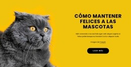 Mantener Felices A Las Mascotas